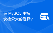 在 MySQL 中按块检索大的选择？