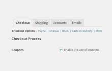 WooCommerce 优惠券管理：初学者指南