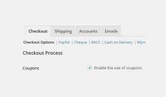 WooCommerce 优惠券管理：初学者指南