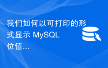 我们如何以可打印的形式显示 MySQL 位值？