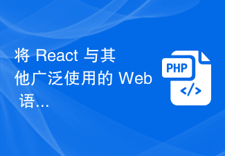 将 React 与其他广泛使用的 Web 语言连接起来