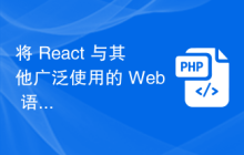 将 React 与其他广泛使用的 Web 语言连接起来