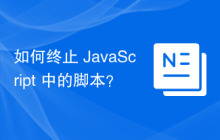 如何终止 JavaScript 中的脚本？
