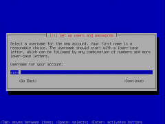 设置免费专用 Web 服务器:分步指南