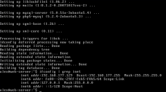 设置免费专用 Web 服务器:分步指南