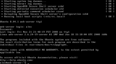 设置免费专用 Web 服务器:分步指南