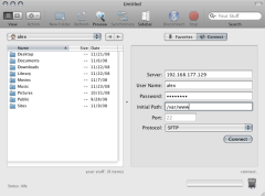 设置免费专用 Web 服务器:分步指南