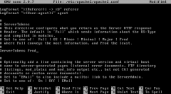 设置免费专用 Web 服务器:分步指南