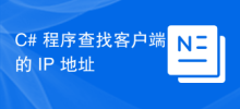 C# 程式尋找客戶端的 IP 位址