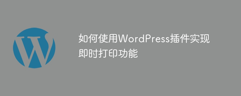 Cara menggunakan pemalam WordPress untuk melaksanakan fungsi pencetakan segera