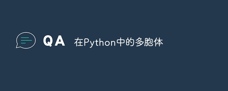 在Python中的多胞体