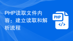 PHP reads file content: establishing reading and parsing process