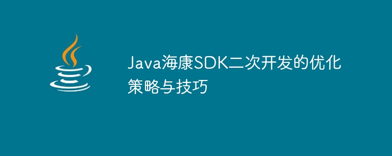 Java Hikvision SDK 2차 개발을 위한 최적화 전략 및 기법