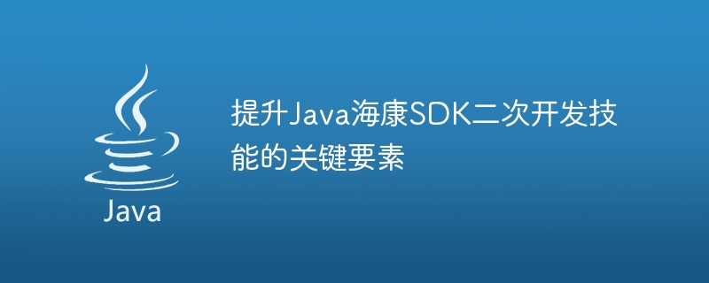 Java Hikvision SDK の二次開発スキルを向上させるための重要な要素