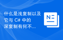 什么是浅复制以及它与 C# 中的深复制有何不同？