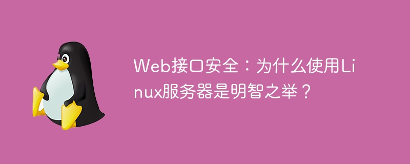 Web インターフェイスのセキュリティ: Linux サーバーを使用することが賢明な選択である理由