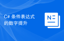 C# 条件表达式的数字提升