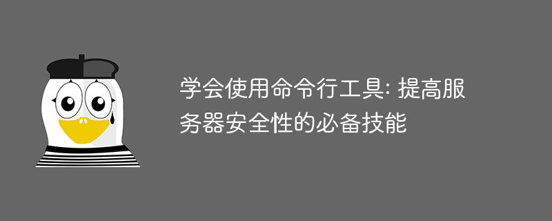 学会使用命令行工具: 提高服务器安全性的必备技能