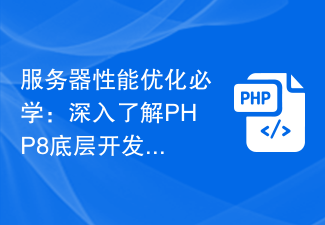 サーバーパフォーマンスの最適化を学ぶ必要があります: PHP8 の基礎となる開発原則の深い理解