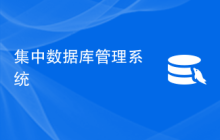 集中数据库管理系统