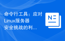 命令行工具：应对Linux服务器安全挑战的利器