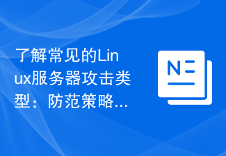 了解常见的Linux服务器攻击类型：防范策略和建议