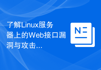 了解Linux服务器上的Web接口漏洞与攻击。