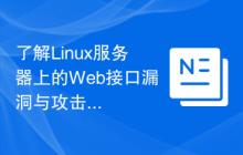 了解Linux服务器上的Web接口漏洞与攻击。