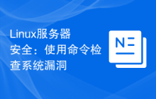 Linux服务器安全:使用命令检查系统漏洞