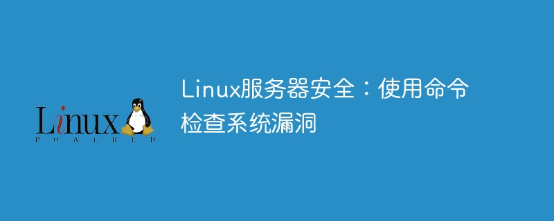 Linux服务器安全：使用命令检查系统漏洞