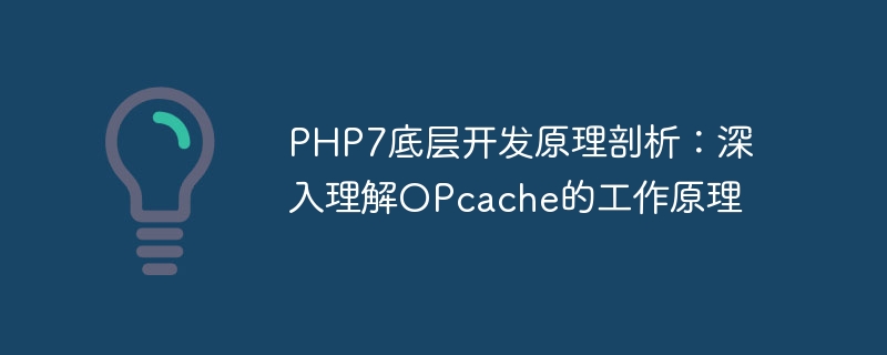 Analyse der zugrunde liegenden Entwicklungsprinzipien von PHP7: Vertiefendes Verständnis des Funktionsprinzips von OPcache