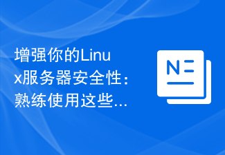 Linux サーバーのセキュリティを強化する: これらのコマンドに習熟してください