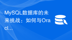 MySQL 데이터베이스의 미래 과제: Oracle과 경쟁하는 방법은 무엇입니까?