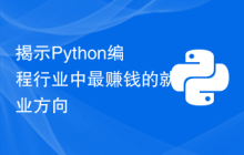 揭示Python编程行业中最赚钱的就业方向