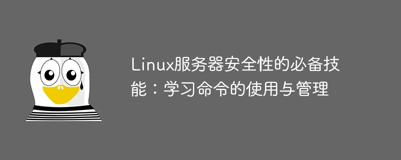 Grundlegende Fähigkeiten für die Sicherheit von Linux-Servern: Erlernen Sie die Verwendung und Verwaltung von Befehlen