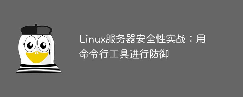 Linux 서버 보안 실행: 방어를 위해 명령줄 도구 사용