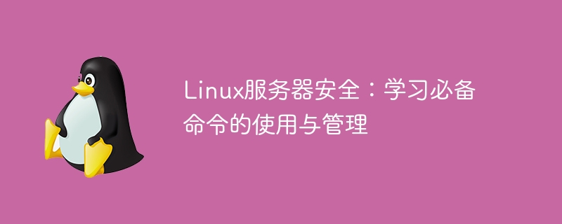 Linux 서버 보안: 필수 명령의 사용 및 관리 학습