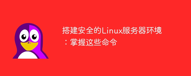 Bina persekitaran pelayan Linux yang selamat: Kuasai arahan ini