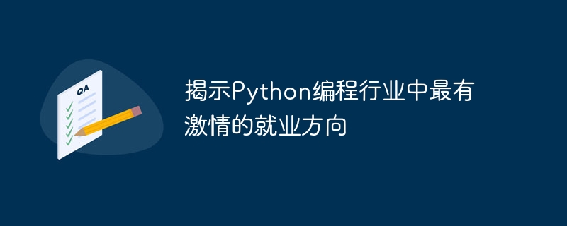 揭示Python编程行业中最有激情的就业方向