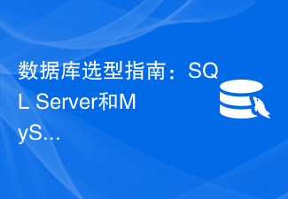데이터베이스 선택 가이드: SQL Server와 MySQL 비교, 누가 더 낫나요?