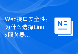 웹 인터페이스 보안: 보안을 위해 Linux 서버를 선택하는 이유는 무엇입니까?