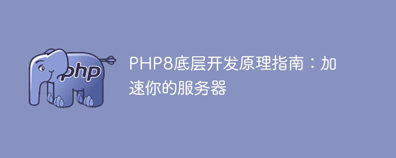 PHP8의 기본 개발 원칙에 대한 가이드: 서버 속도 향상