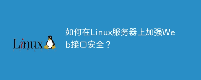 Wie kann die Sicherheit der Webschnittstelle auf einem Linux-Server gestärkt werden?