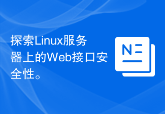 Linux サーバー上の Web インターフェイスのセキュリティを調べます。