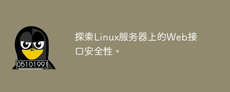 Linux サーバー上の Web インターフェイスのセキュリティを調べます。