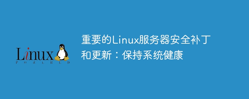 Tampalan dan kemas kini keselamatan pelayan Linux yang penting: Pastikan sistem anda sihat