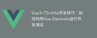 Vue3+TS+Vite开发技巧:如何利用Vue Devtools进行开发调试