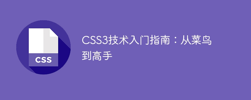 CSS3 기술에 대한 초보자 가이드: 초보자에서 전문가까지