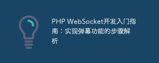php websocket开发入门指南：实现弹幕功能的步骤解析