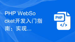 PHP WebSocket開發入門指南:實作彈幕功能的步驟解析